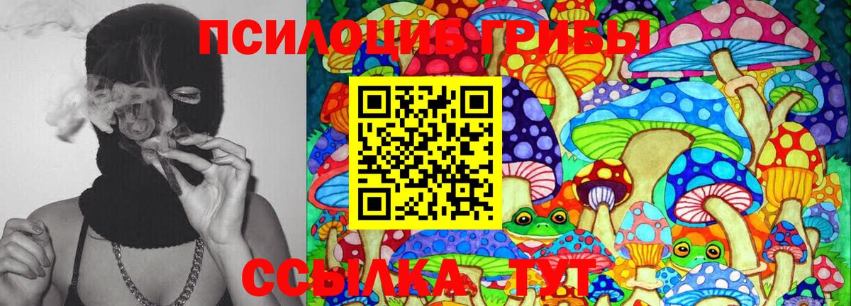 цены наркотик  Вход с VPN  Кудымкар  Галлюциногенные грибы Psilocybe 